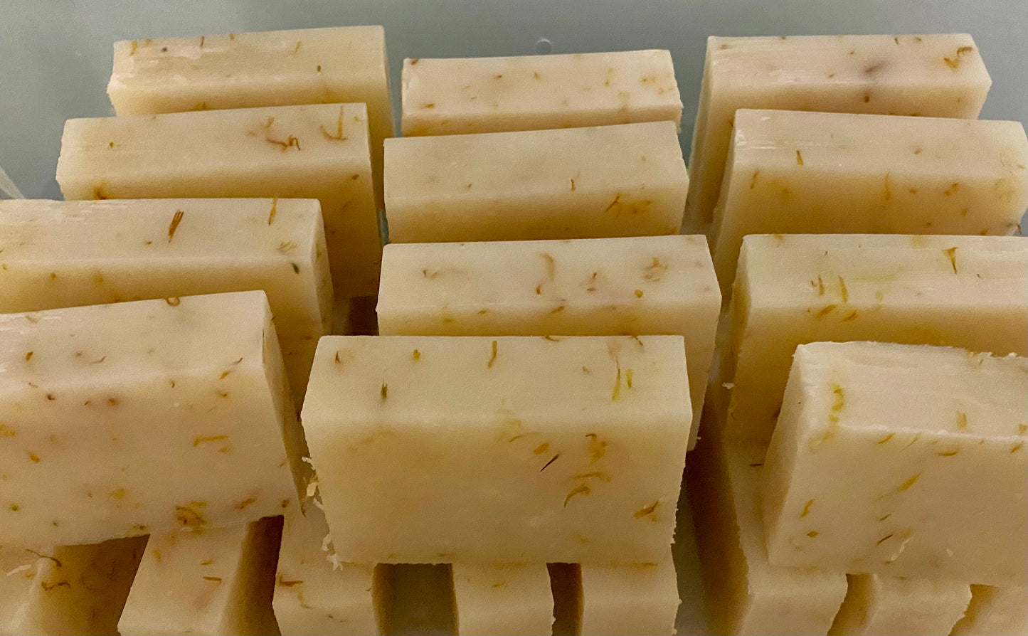 Gentle Calendula Soap - Unscented