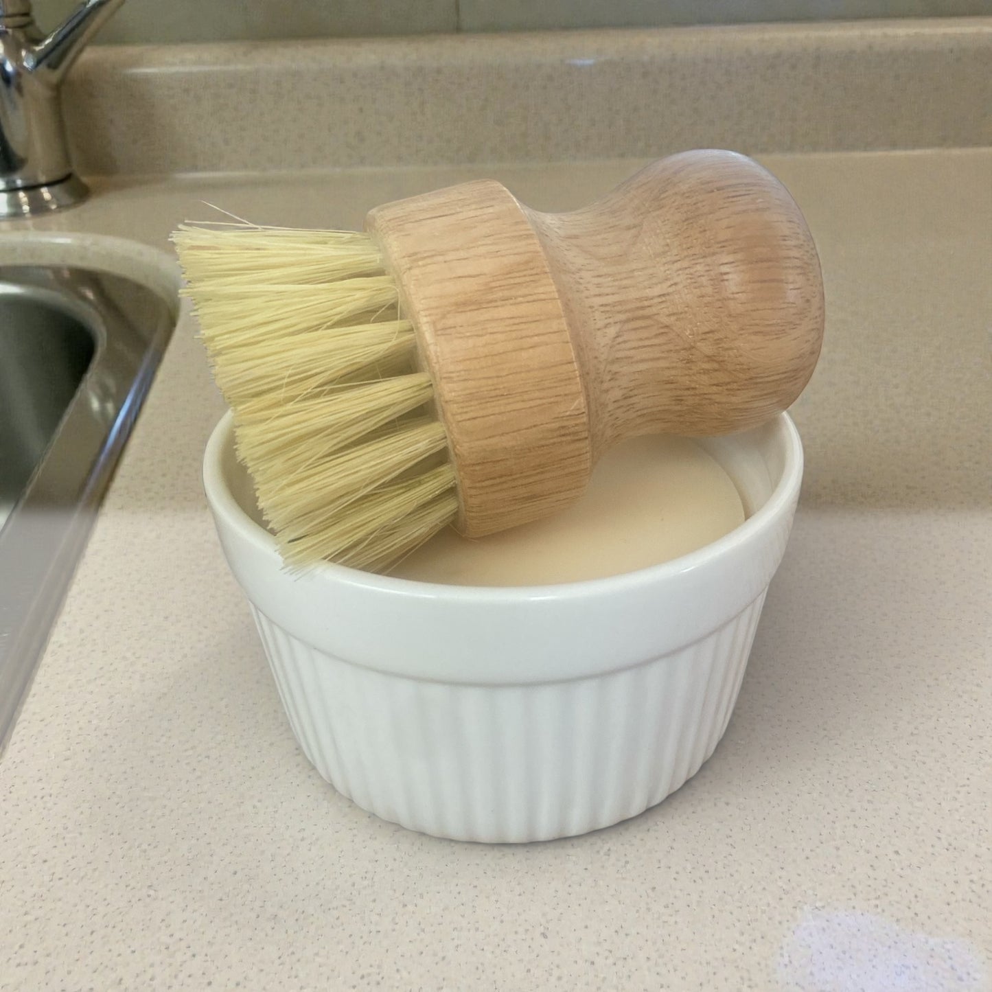 Solid Dish Soap Set