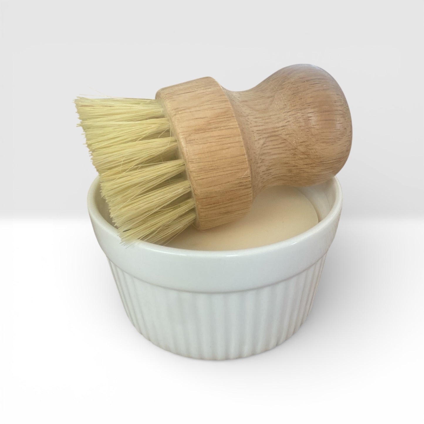 Solid Dish Soap Set