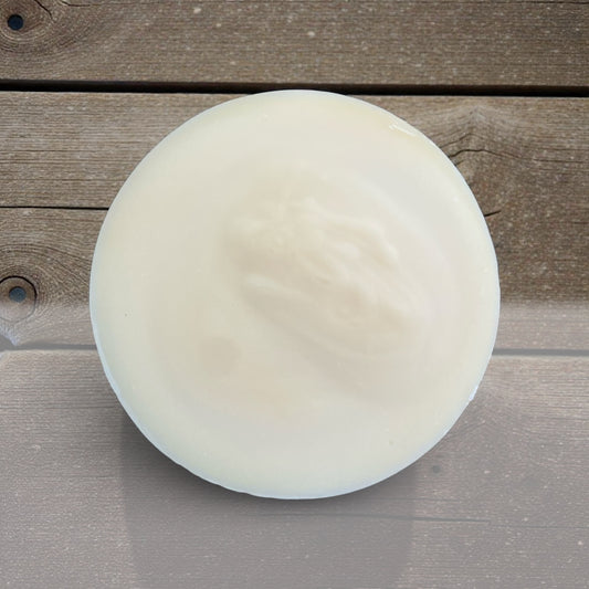 Solid Dish Soap Refill